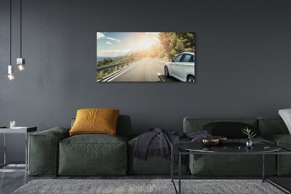 Tablouri canvas Munții nori de copaci rutier auto