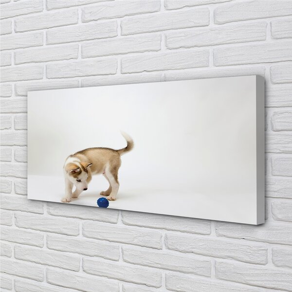 Tablouri canvas Redarea cu câinele
