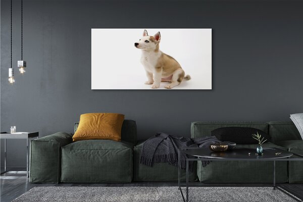 Tablouri canvas Stând câine mic