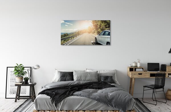 Tablouri canvas Munții nori de copaci rutier auto