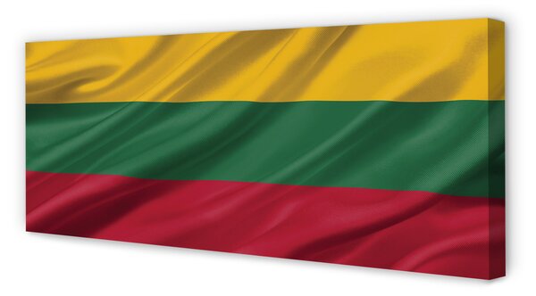Tablouri canvas pavilion Lituania
