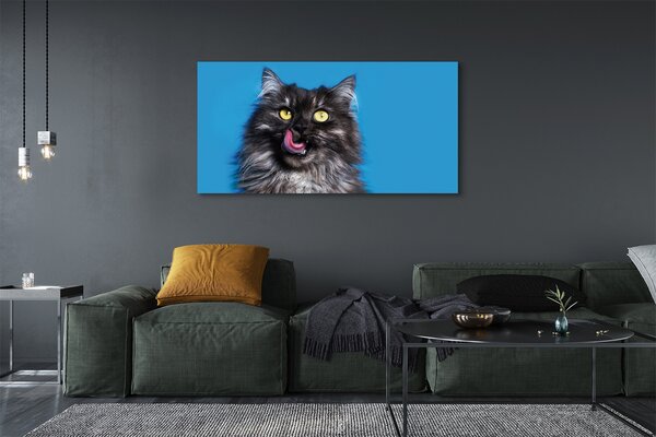 Tablouri canvas Oblizujący o pisică
