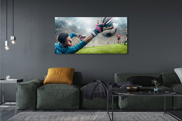 Tablouri canvas Omul de apărare pasă