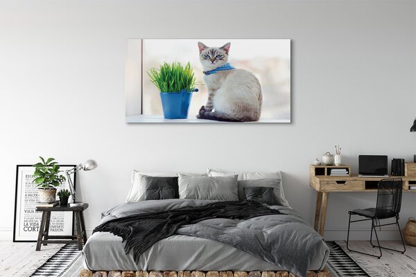 Tablouri canvas ședinței de pisică