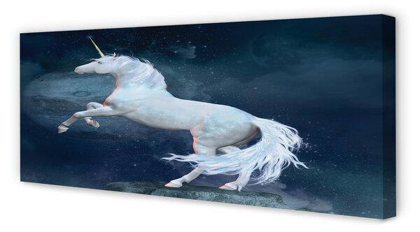 Tablouri canvas cerul planetei Unicorn