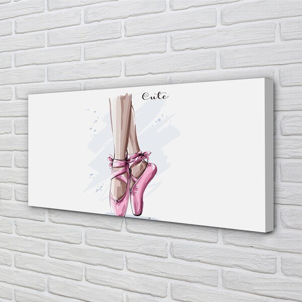 Tablouri canvas pantofi de balet roz