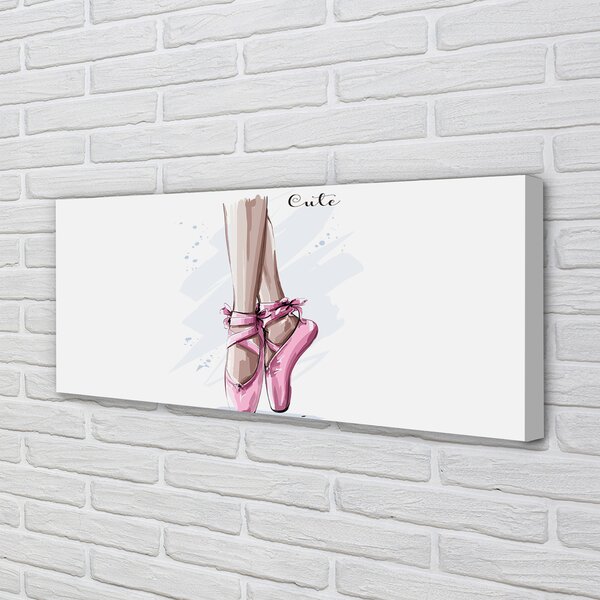 Tablouri canvas pantofi de balet roz