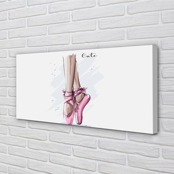Tablouri canvas pantofi de balet roz