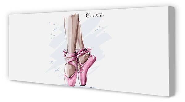 Tablouri canvas pantofi de balet roz
