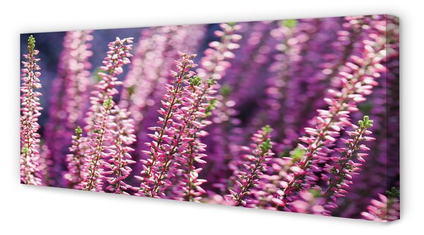 Tablouri canvas flori