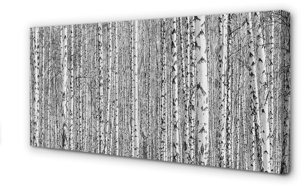 Tablouri canvas copac pădure alb-negru