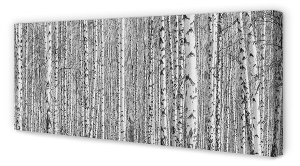 Tablouri canvas copac pădure alb-negru