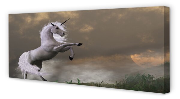 Tablouri canvas top Unicorn