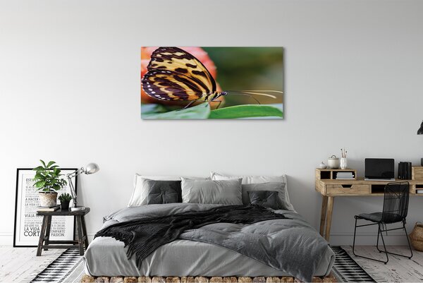Tablouri canvas fluture