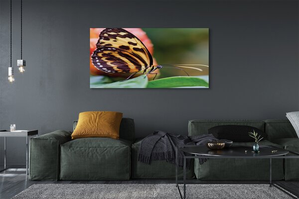 Tablouri canvas fluture