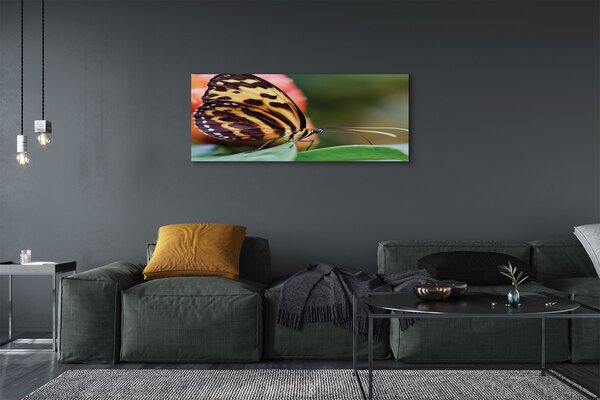 Tablouri canvas fluture