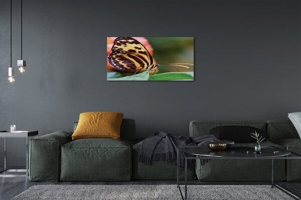 Tablouri canvas fluture