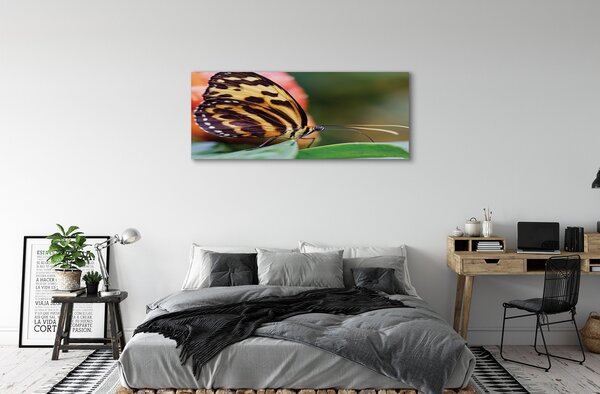 Tablouri canvas fluture