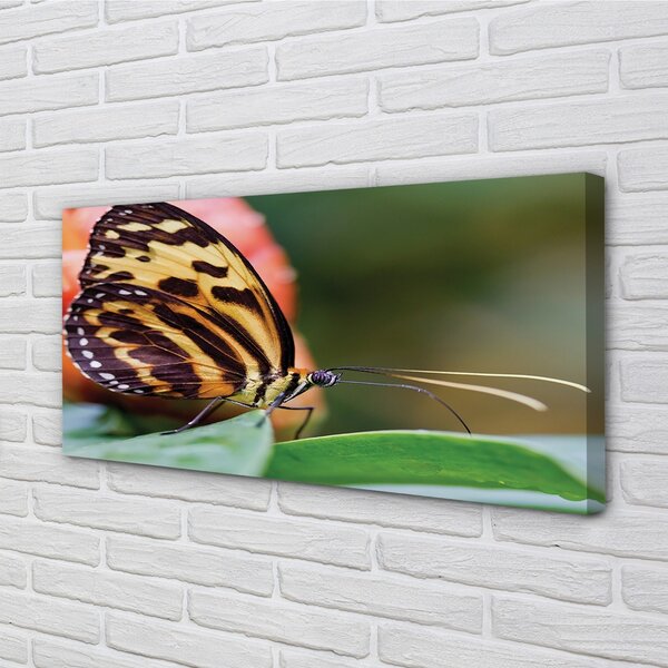 Tablouri canvas fluture
