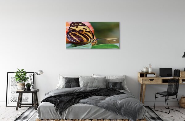 Tablouri canvas fluture