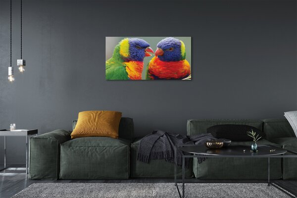 Tablouri canvas papagal colorat
