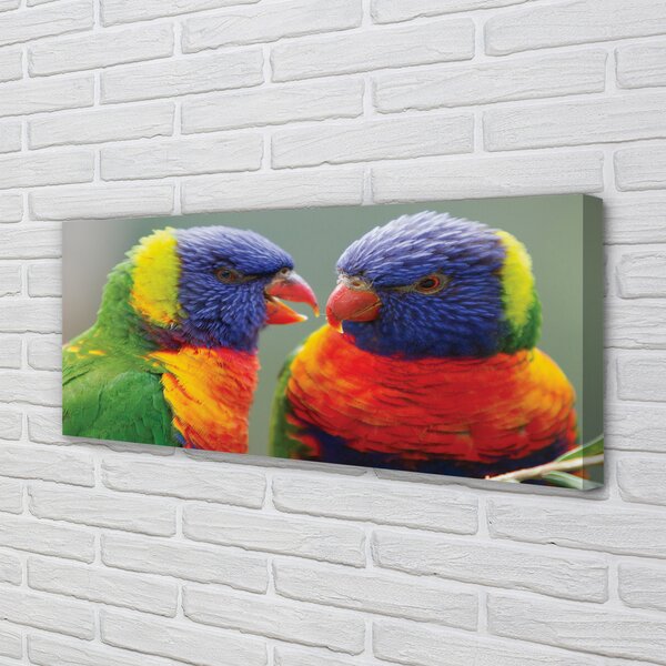 Tablouri canvas papagal colorat