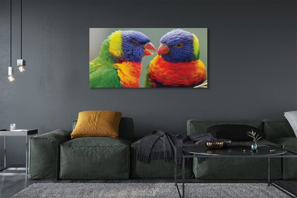 Tablouri canvas papagal colorat
