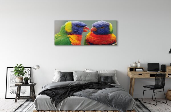 Tablouri canvas papagal colorat