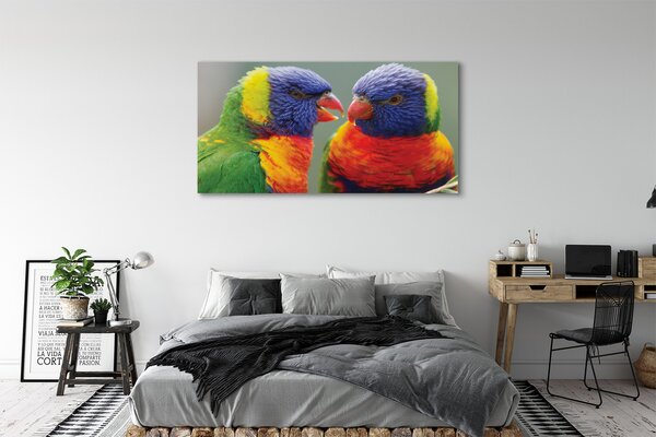 Tablouri canvas papagal colorat
