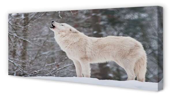 Tablouri canvas pădure de iarnă Wolf