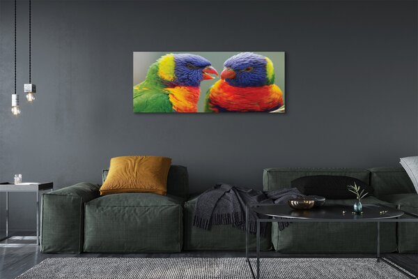 Tablouri canvas papagal colorat