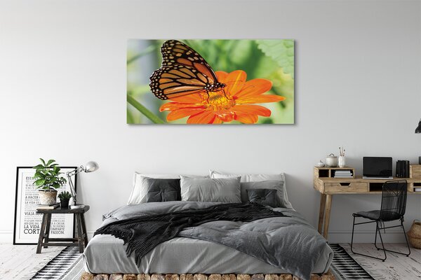 Tablouri canvas Floare fluture colorat