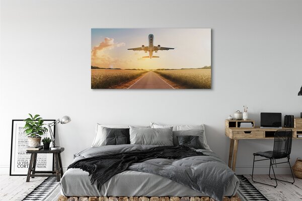 Tablouri canvas Avionul City West