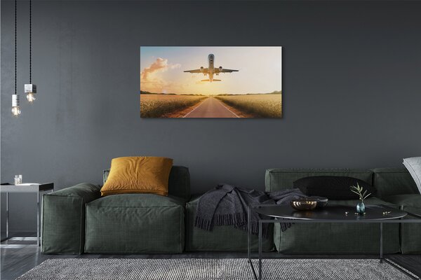 Tablouri canvas Avionul City West