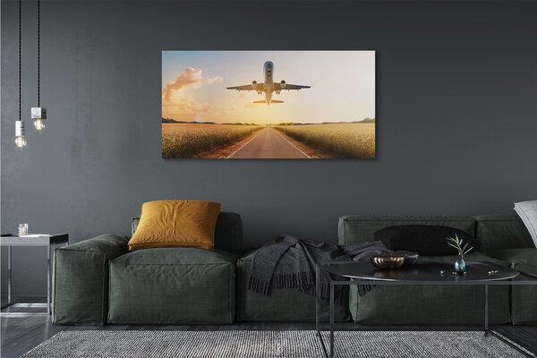 Tablouri canvas Avionul City West