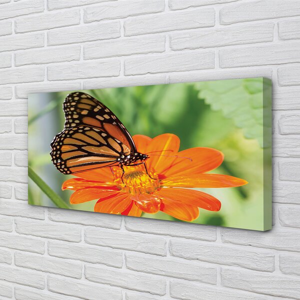 Tablouri canvas Floare fluture colorat