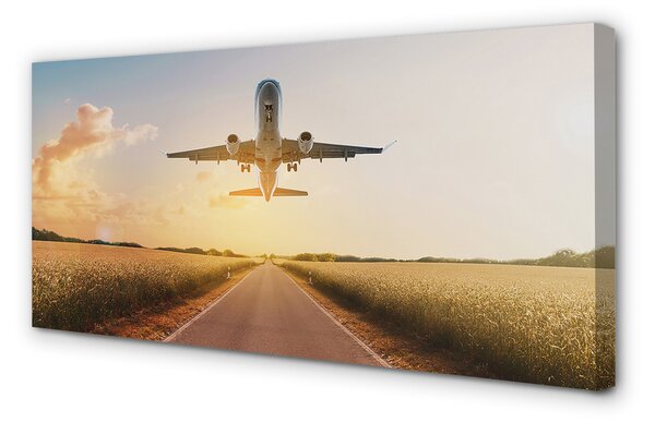 Tablouri canvas Avionul City West
