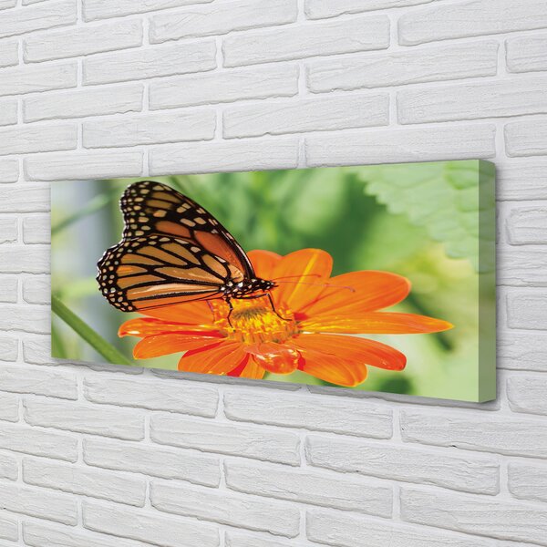 Tablouri canvas Floare fluture colorat
