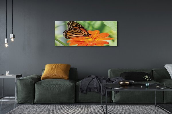 Tablouri canvas Floare fluture colorat
