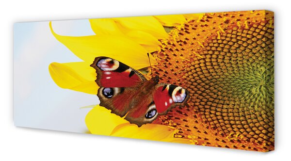 Tablouri canvas floarea-soarelui fluture