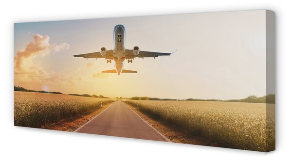 Tablouri canvas Avionul City West