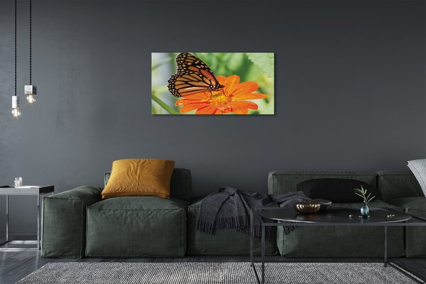 Tablouri canvas Floare fluture colorat