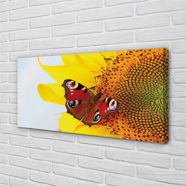 Tablouri canvas floarea-soarelui fluture