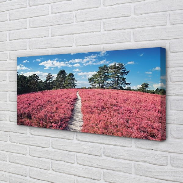 Tablouri canvas Câmp Heathers pădure