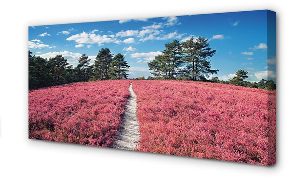 Tablouri canvas Câmp Heathers pădure