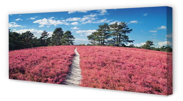 Tablouri canvas Câmp Heathers pădure