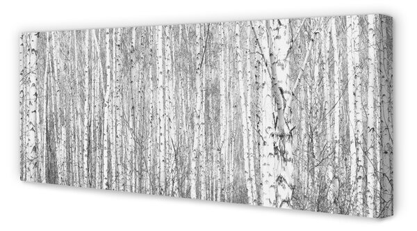 Tablouri canvas copac pădure alb-negru