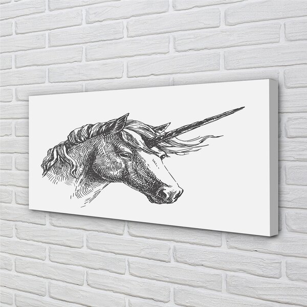 Tablouri canvas desen unicorn