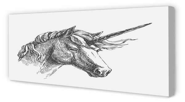 Tablouri canvas desen unicorn