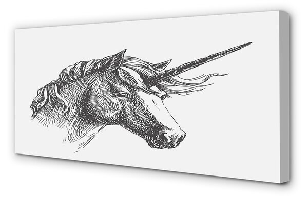 Tablouri canvas desen unicorn